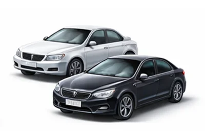 Entrega urgente Coches en Zwijnaarde Bélgica